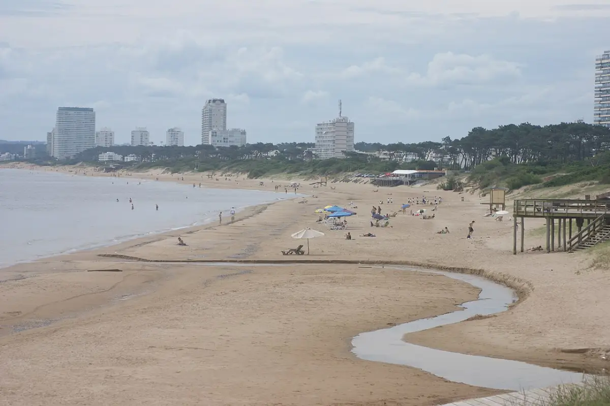 Playa Mansa de Punta del Este con edificios al fondo
